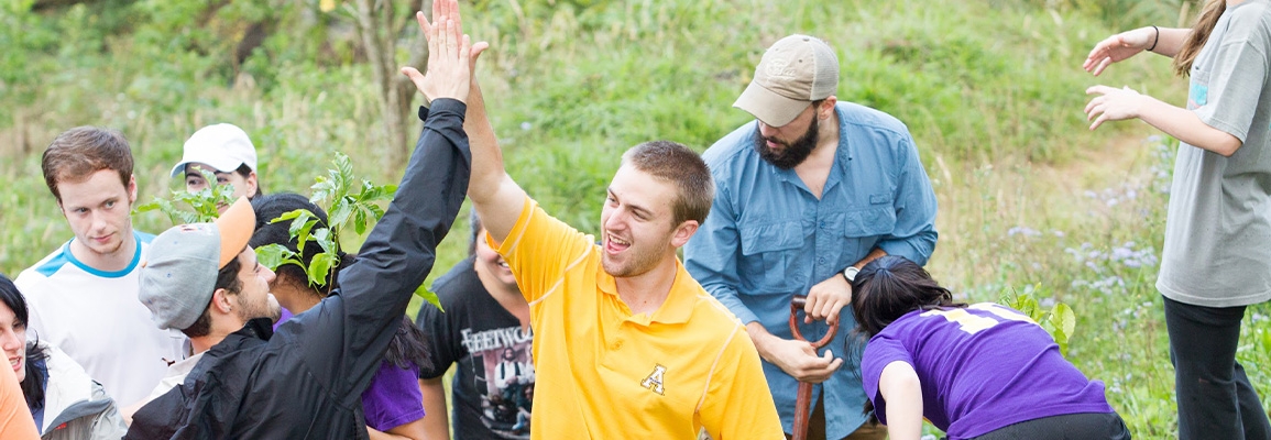 Header image