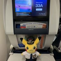 Airplane seat featuring a yellow pokemon on the tray table. 