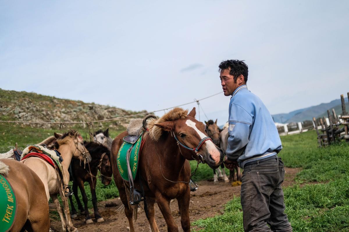 A herdsman preparing his horses for a countryside ride