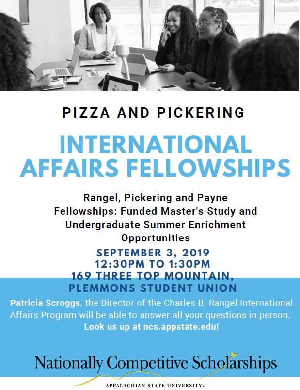 internationalaffairsfellowships_studentworkshop.png